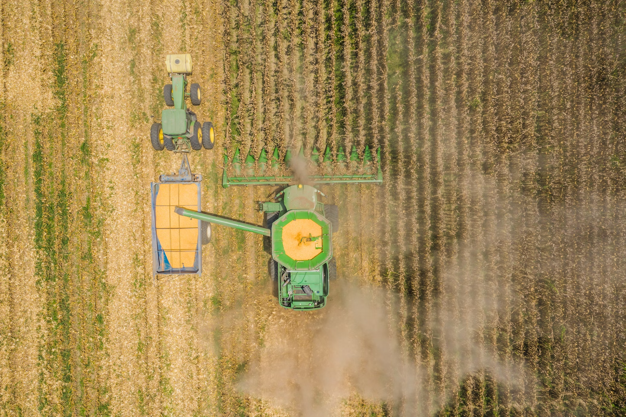 Chãozão - O Maior Portal de Anúncios de Imóveis Rurais do Brasil.