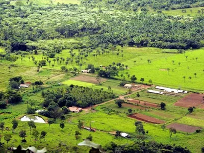 Chãozão - O Maior Portal de Anúncios de Imóveis Rurais do Brasil.