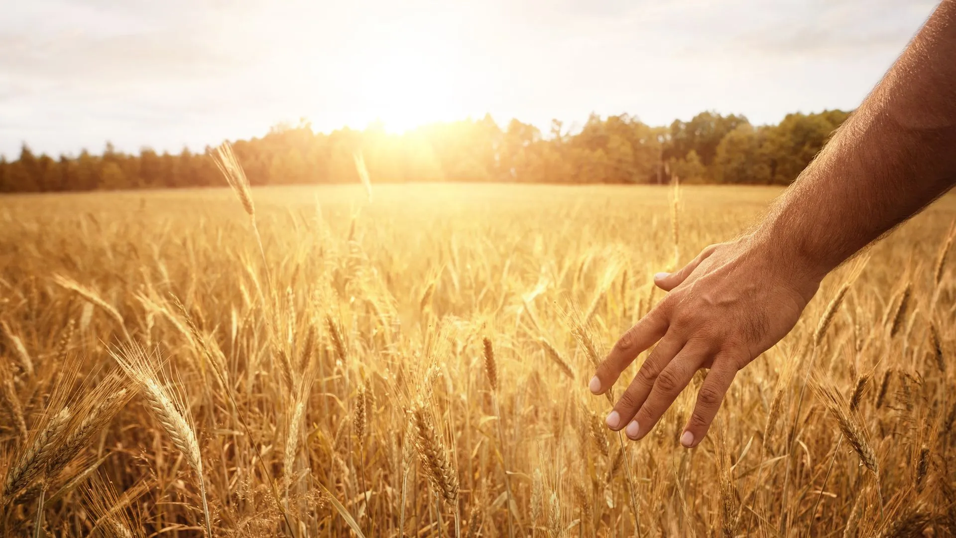 Chãozão - O Maior Portal de Anúncios de Imóveis Rurais do Brasil.
