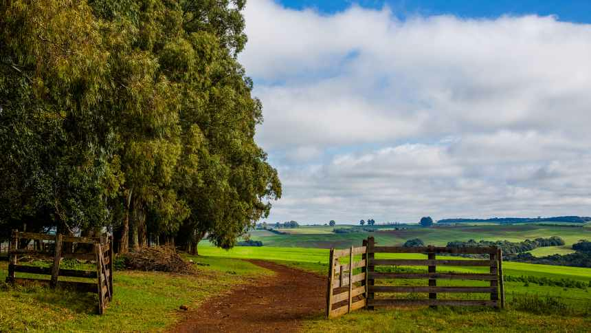 Chãozão - O Maior Portal de Anúncios de Imóveis Rurais do Brasil.
