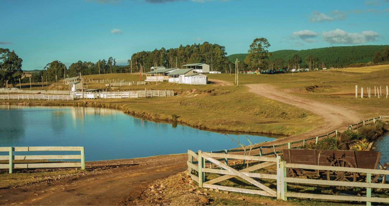 Chãozão - O Maior Portal de Anúncios de Imóveis Rurais do Brasil.